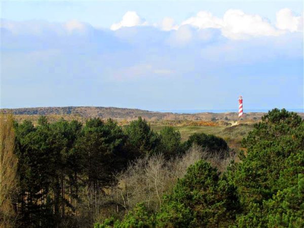 Uitkijktoren Boswachterij - Afbeelding 3